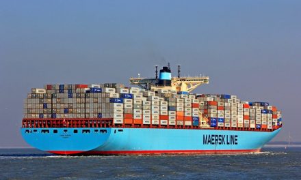Maersk Diverts Ships Around Cape of Good Hope Amid Ongoing Houthi Attacks